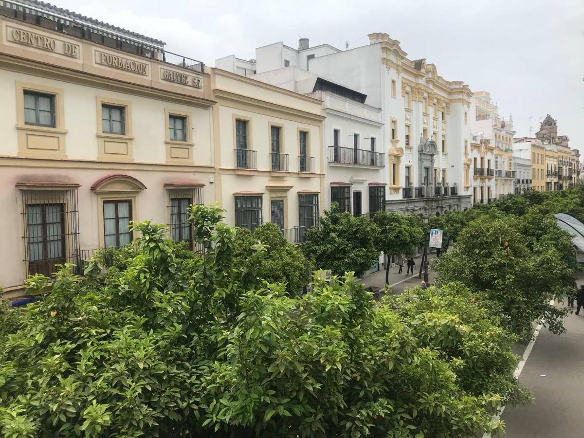 Apartamento Centro Jerez Jerez de la Frontera Exterior photo